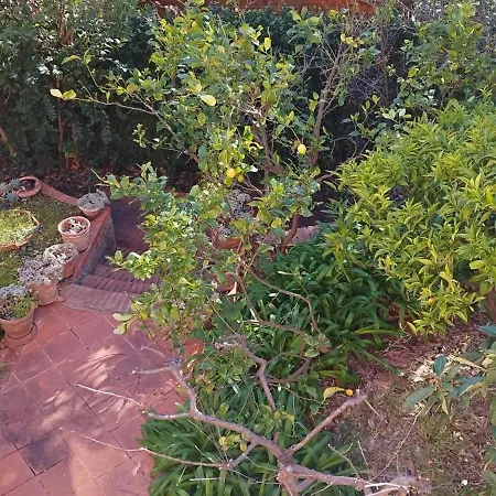 Casa Reali, Relax A Due Passi Dal Mare Apartamento Livorno